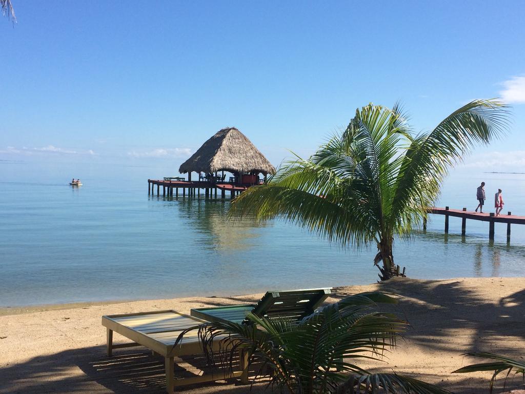 Robert'S Grove Beach Resort Placencia Luaran gambar